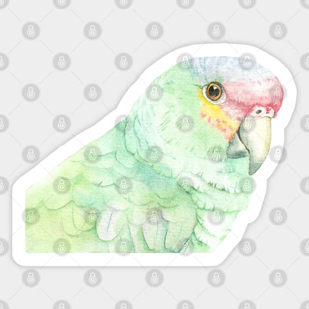 red-lored amazon watercolor portrait parrot Sticker by Oranjade0122